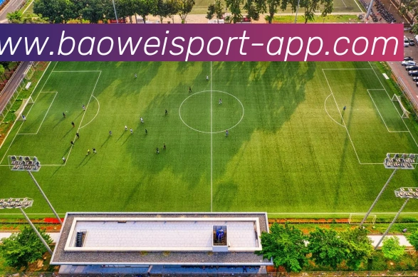 多媒体互动体验