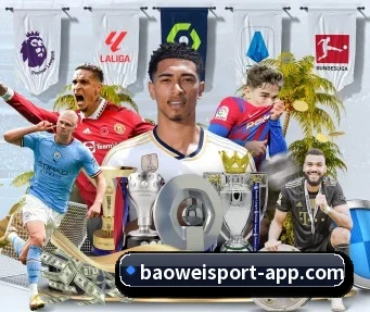 宝威体育 APP | BOWWAYSPORTS